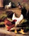 unknow artist Hens and Chicken